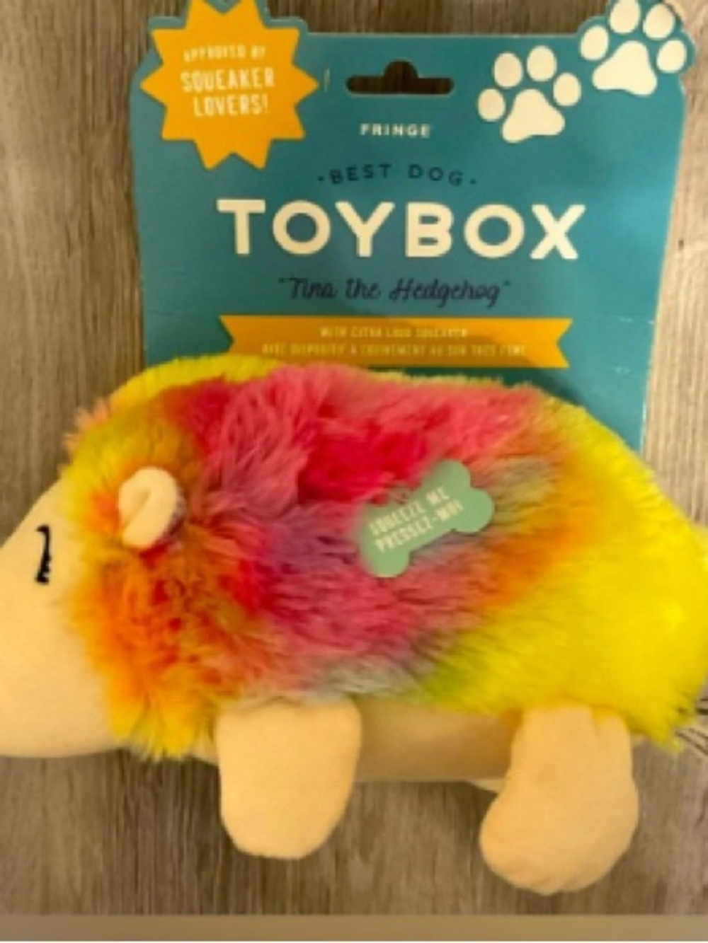 Fringe Toybox 'Tina the Hedgehog' Plush Dog Toy - Rainbow